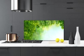 Panel Szklany Botaniczny Detal Liści