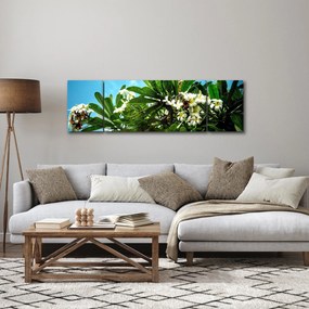Obraz - Plumeria (170x50 cm)