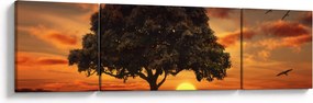 Obraz drzewa o zachodzie słońca (170x50 cm)