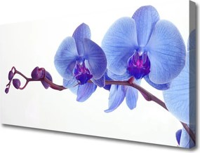 Obraz na płótnie Letnia Kompozycja Kwiatowa