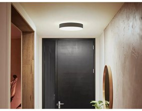 Inteligentna lampa sufitowa LED 19 W Enrave – Philips Hue