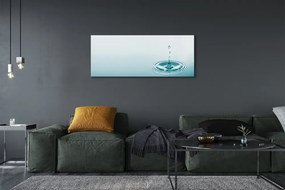 Duży obraz na płótnie Kropla Wody w Makrofotografii