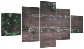 Obraz - Bluszcz (125x70 cm)