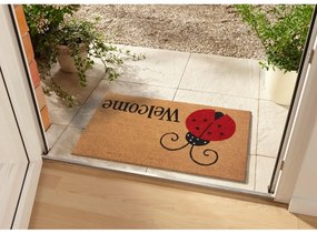 Wycieraczka z włókna kokosowego 75x45 cm Lady Beetle – Hanse Home