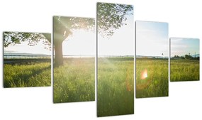 Obraz drzewa na polu (125x70 cm)