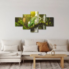 Obraz jaszczurki (125x70 cm)