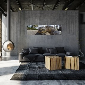 Obraz żółwia (170x50 cm)