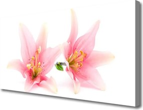 Obraz na płótnie Urokliwa Flora Kwiatowa