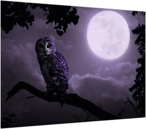 Obraz - Nocna sowa, fioletowy (70x50 cm)