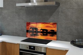 Panel szklany do Kuchni Słonie nad Wadą o Zachodzie