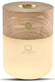 Elektryczny dyfuzor Smart – Gingko