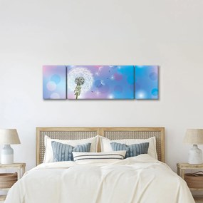 Obraz - Dmuchawiec na wietrze (170x50 cm)
