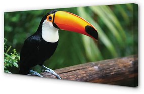 Duży obraz na płótnie Tukan na Gałęzi