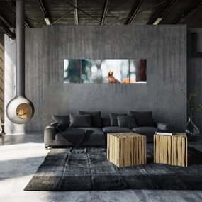 Obraz - Wiewiórka (170x50 cm)