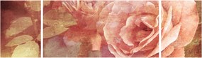 Obraz róż (170x50 cm)