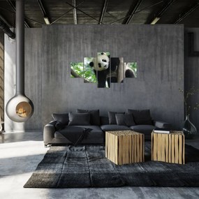 Obraz - Panda na drzewie (125x70 cm)