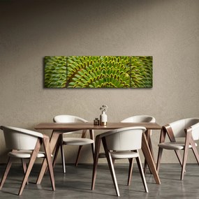 Obraz - Paproć (170x50 cm)