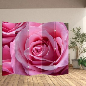 Ekran - Róża (210x170 cm)