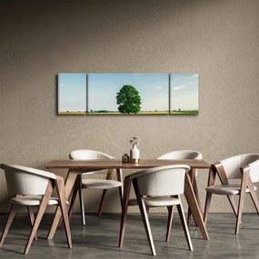Obraz drzewa na środku łąki (170x50 cm)