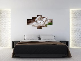 Obraz - Śpiący anioł (125x70 cm)