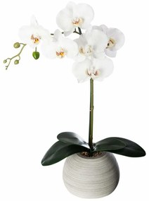 Sztuczny storczyk w doniczce ceramicznej, 50 cm