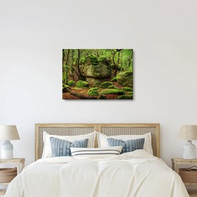 Obraz magicznego lasu (70x50 cm)