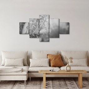 Obraz - Łąka po deszczu (125x70 cm)