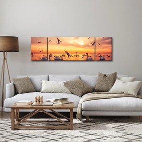 Obraz - Łabędzie (170x50 cm)