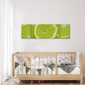 Obraz - pokrojone cytryny (170x50 cm)