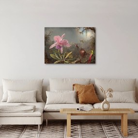 Obraz - Martin Johnson Heade, Cattleya Orchid and Three Hummingbirds, reprodukcje (70x50 cm)
