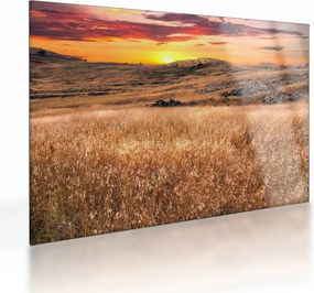 Obraz na szkle - pole (70x50 cm)