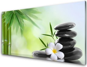 Szkło do Kuchni na Ścianę Egzotyka Bambusa I Kwiatów