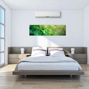Obraz - Biedronka (170x50 cm)