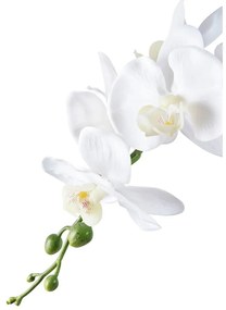 Sztuczny kwiat (wysokość 47 cm) Orchid – House Nordic