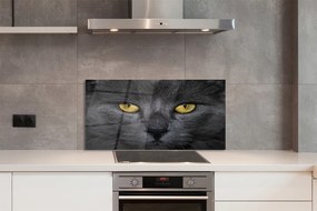 Panel Szklany Czarny kot