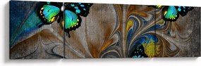 Obraz - Jasne motyle na zdjęciu (170x50 cm)