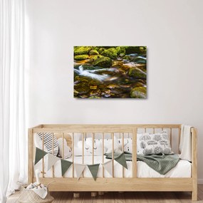 Obraz na szkle - strumień (70x50 cm)