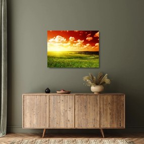 Obraz na szkle łąki ze świecącym słońcem (70x50 cm)