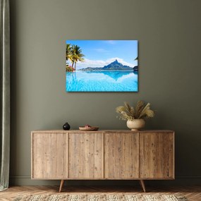 Obraz - Palmy i plaże (70x50 cm)