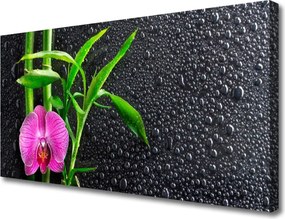 Fotoobraz na płótnie Bambus i Rosa o Poranku