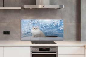 Panel Szklany Kot w Zimowej Scenerii