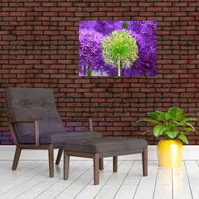 Obraz kwiatu (70x50 cm)