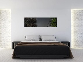 Obraz nocnego nieba (170x50 cm)