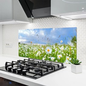 Panel Kuchenny Dywan Białych Stokrotek