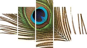 Obraz pawich piór (125x70 cm)