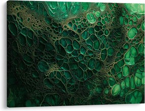 Obraz - Zielony mikroskopowy obraz (70x50 cm)
