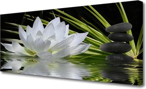 Obraz drukowany na płótnie Harmonijne Lilie na Stawie