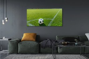 Zdjęcie na płótnie Stadionowa Arena Piłkarska