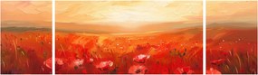 Obraz - Pole maków (170x50 cm)