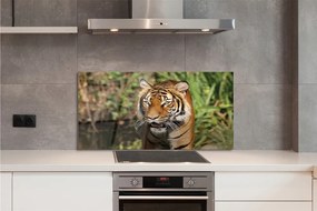 Panel szklany do Kuchni Tygrys na Leśnej Ścieżce